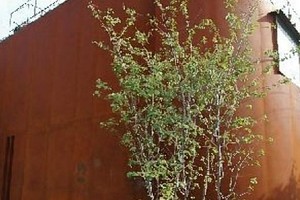 造船技術と建築の融合